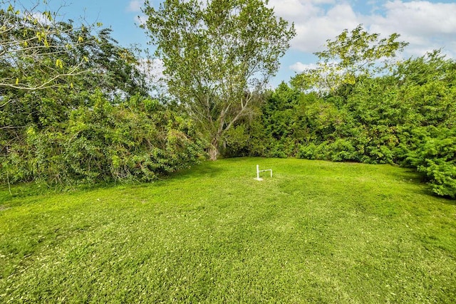 view of yard featuring a forest view