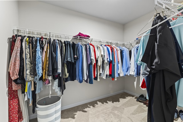 spacious closet featuring carpet