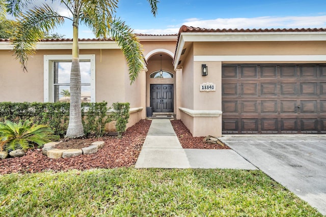 view of exterior entry with a garage, concrete driveway, and stucco siding