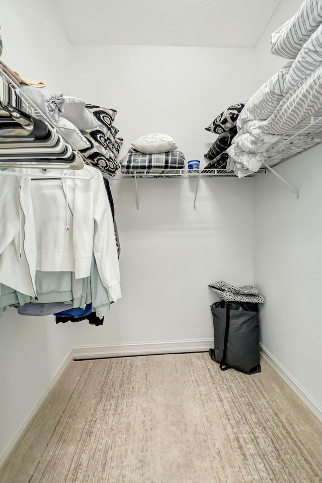 view of spacious closet