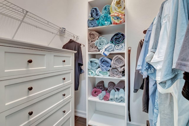 view of spacious closet