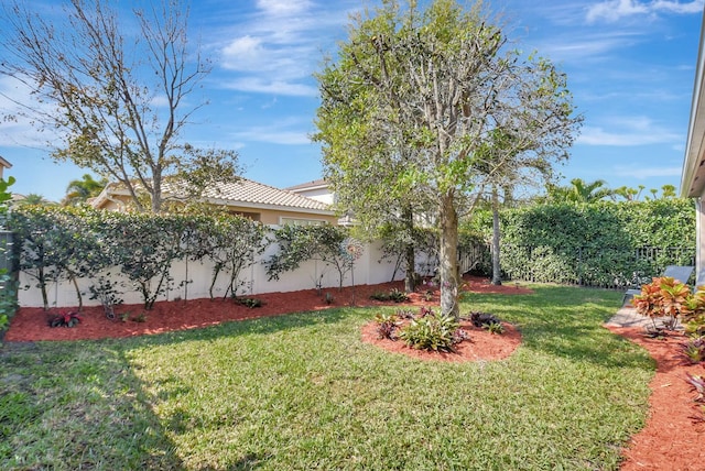 view of yard with a fenced backyard