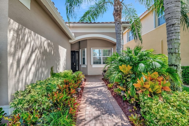 doorway to property featuring stucco siding