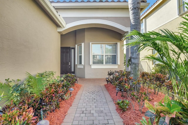 view of exterior entry featuring stucco siding