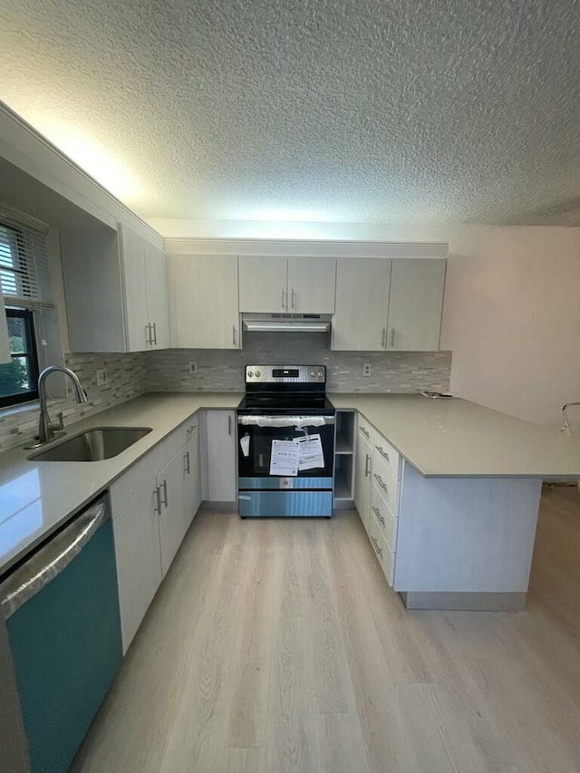 kitchen featuring electric range, dishwashing machine, a peninsula, under cabinet range hood, and a sink