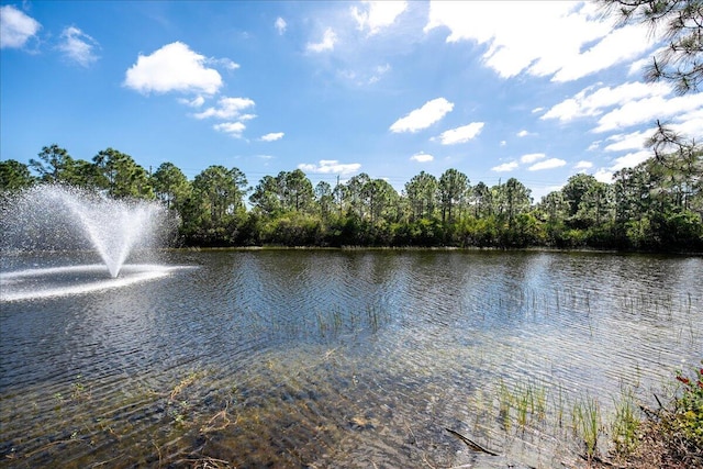 view of water feature