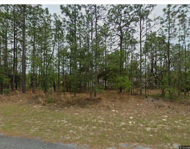 1910 W Linden Dr, Citrus Springs FL, 34434 land for sale