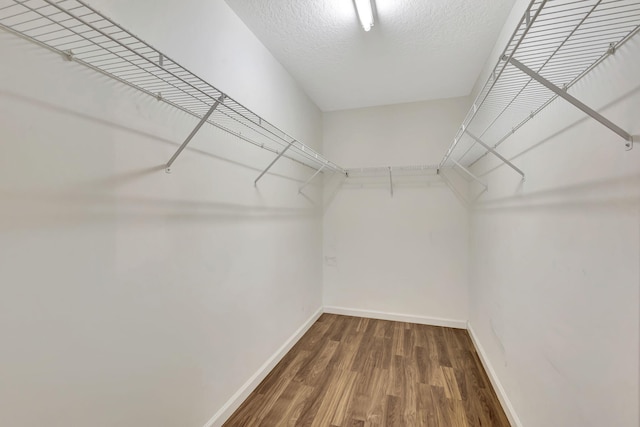 spacious closet featuring dark wood-style flooring