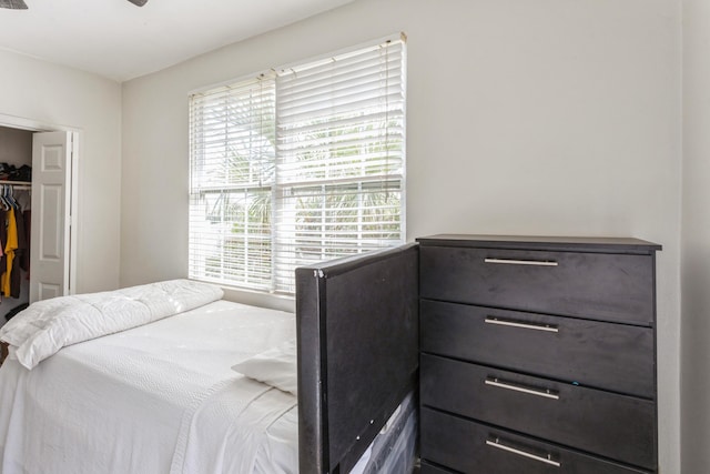 bedroom featuring a closet and a spacious closet