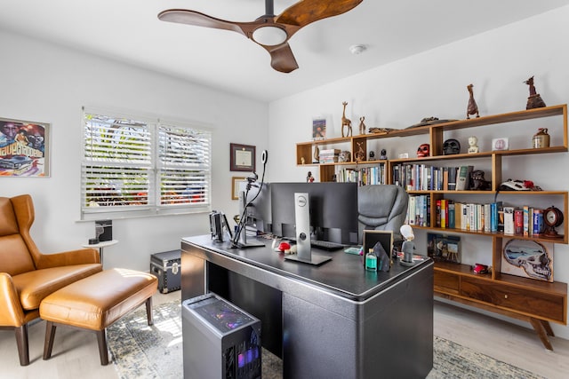 office featuring a ceiling fan and light wood-type flooring