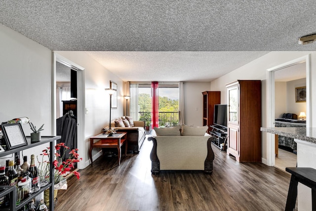 living area featuring dark wood-style floors, a textured ceiling, and baseboards