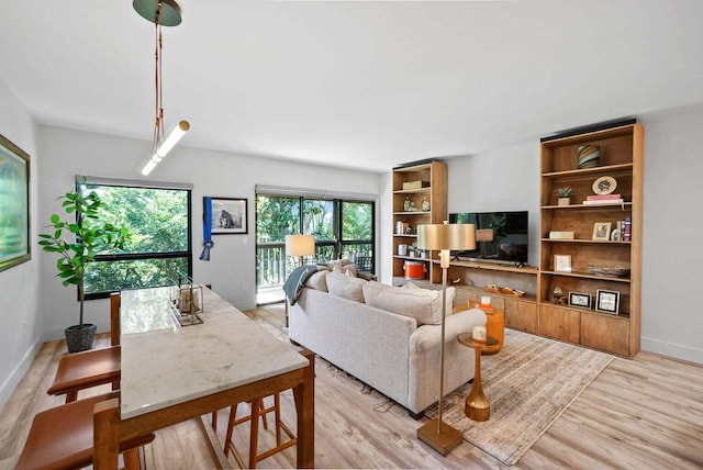 living room featuring baseboards and light wood-style floors