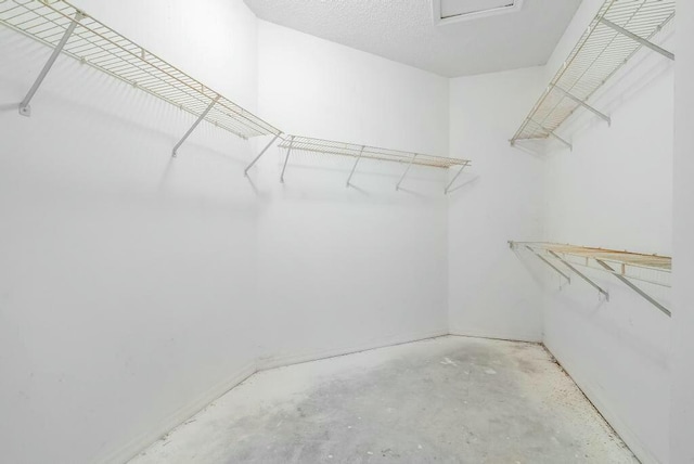 view of walk in closet