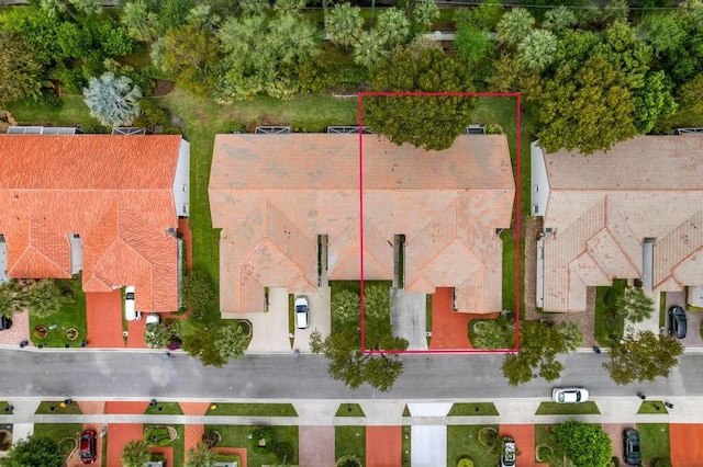drone / aerial view