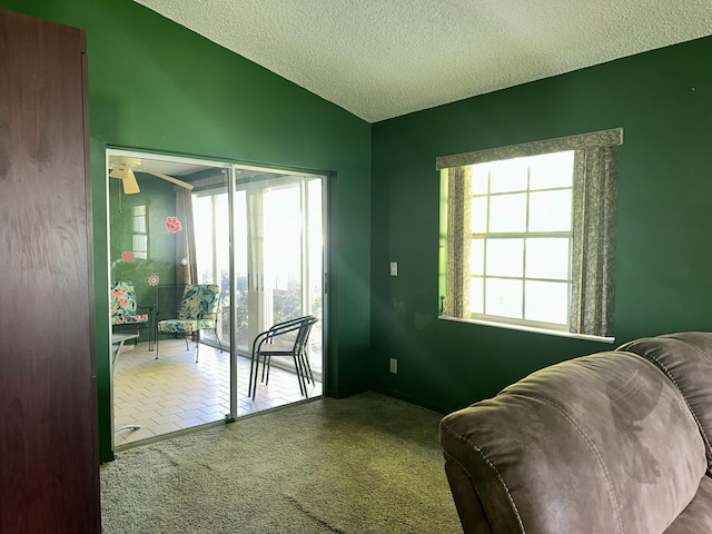 interior space with a healthy amount of sunlight, carpet floors, vaulted ceiling, and a textured ceiling