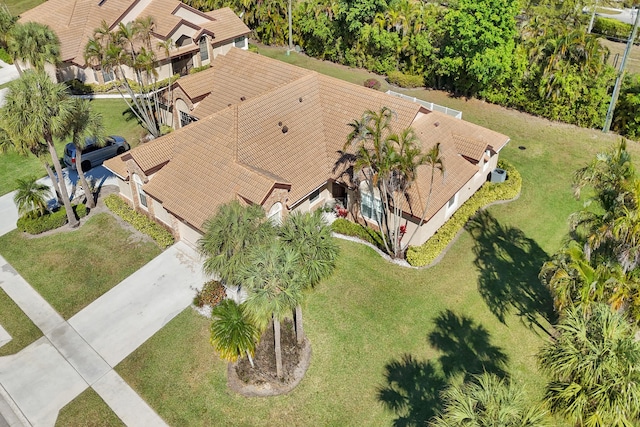 aerial view