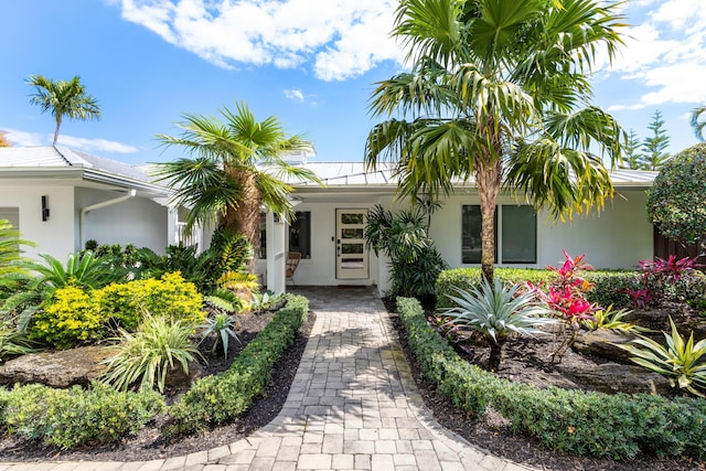 view of front of home featuring metal roof and stucco siding