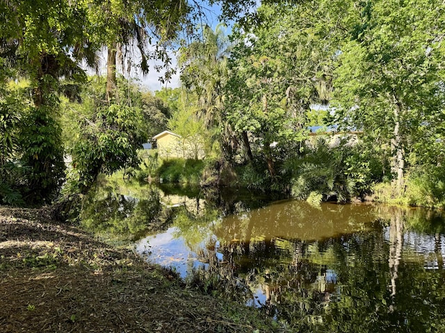 view of local wilderness with a water view