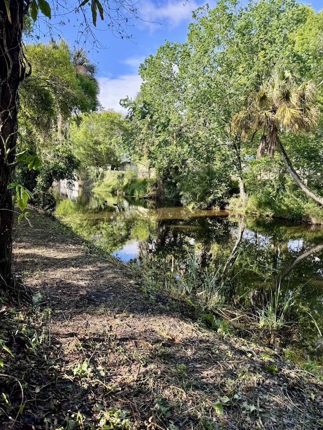 view of local wilderness featuring a water view