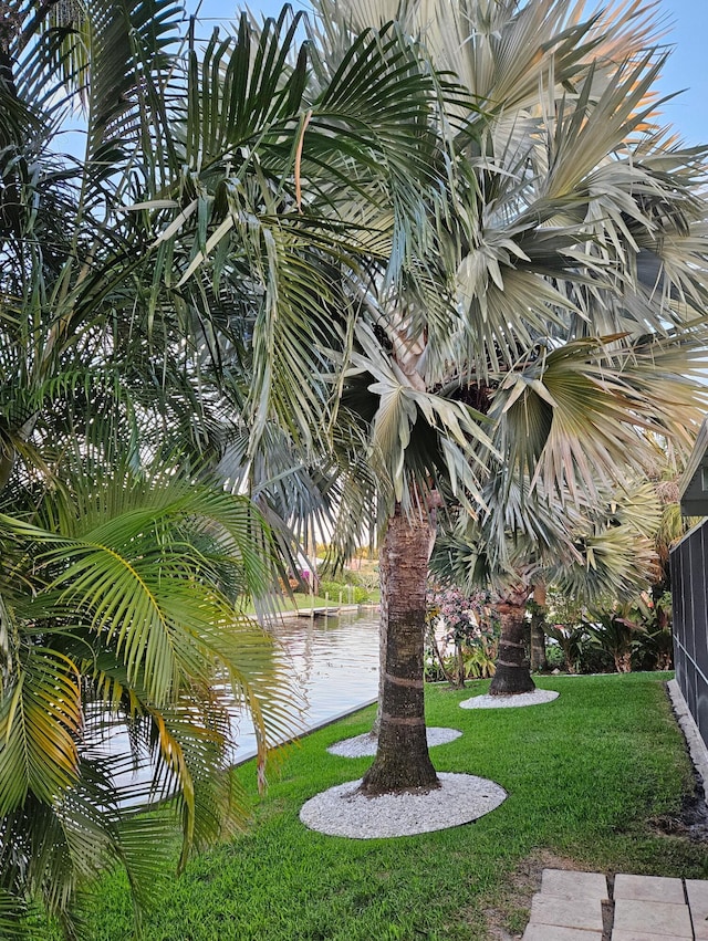 view of yard with a water view