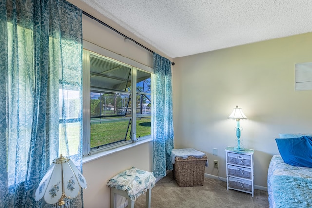 bedroom with a textured ceiling, carpet floors, and baseboards