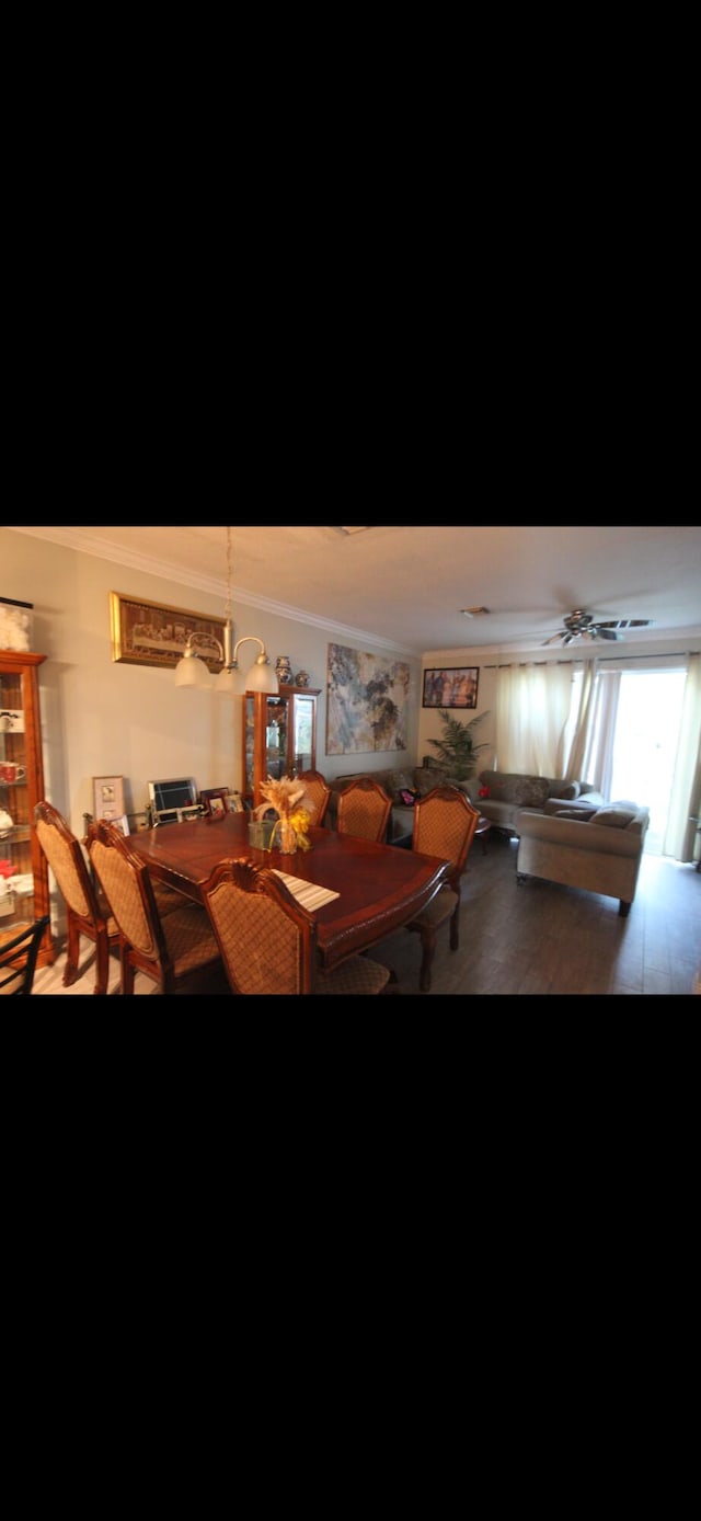 dining room featuring ornamental molding and wood finished floors