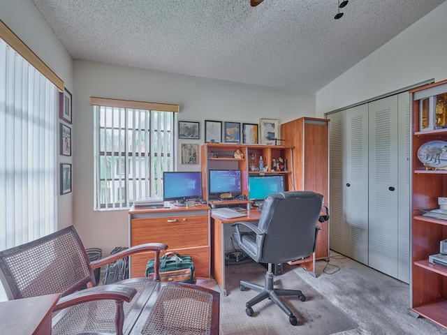 office with light carpet and a textured ceiling