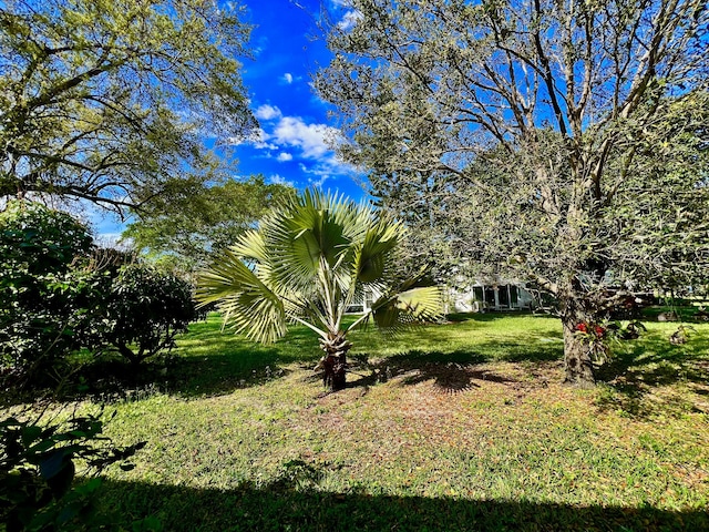 172 Tilford I, Deerfield Beach, FL 33442 - view of yard