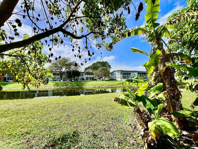 172 Tilford I, Deerfield Beach, FL 33442 - view of yard with a water view