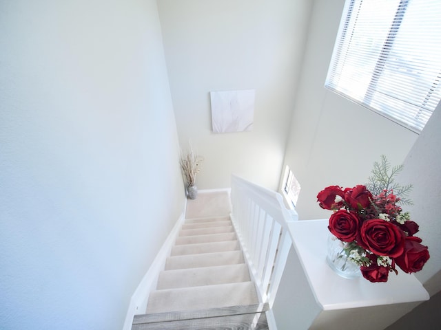 stairway with carpet floors and baseboards