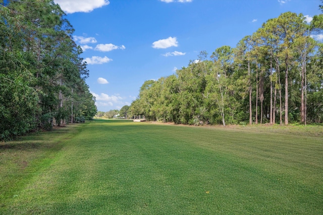 2891 SE Tailwinds Rd, Jupiter, FL 33478 - view of grassy yard