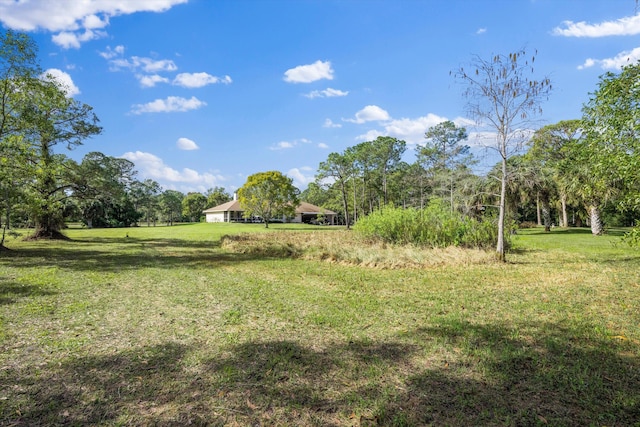 2891 SE Tailwinds Rd, Jupiter, FL 33478 - view of green lawn