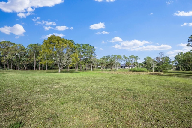 2891 SE Tailwinds Rd, Jupiter, FL 33478 - view of green lawn