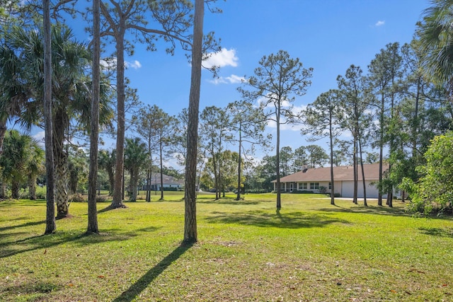 2891 SE Tailwinds Rd, Jupiter, FL 33478 - view of green lawn
