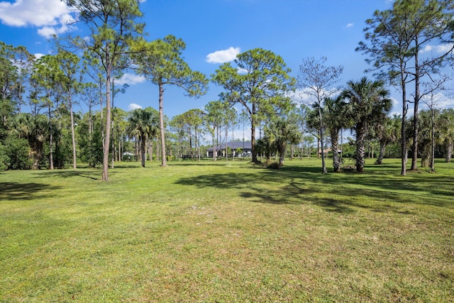 2891 SE Tailwinds Rd, Jupiter, FL 33478 - view of grassy yard