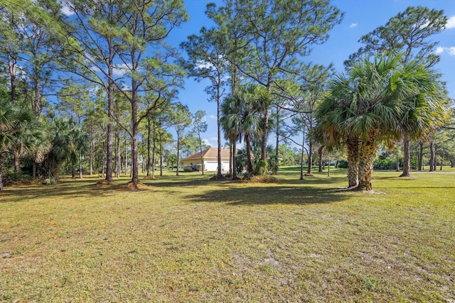 2891 SE Tailwinds Rd, Jupiter, FL 33478 - view of green lawn