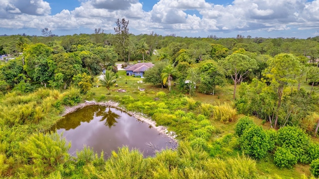 birds eye view of property featuring a water view and a forest view