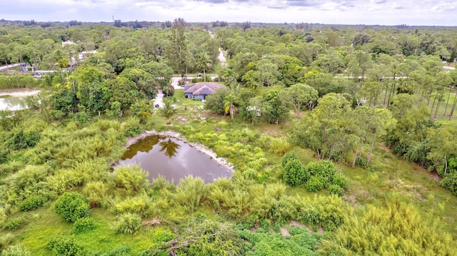 bird's eye view featuring a water view and a wooded view