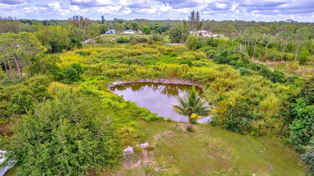 drone / aerial view featuring a water view and a wooded view