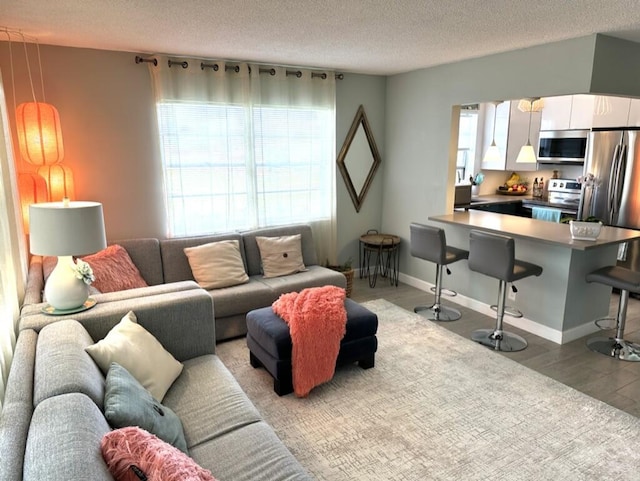 living room featuring baseboards, a textured ceiling, and wood finished floors