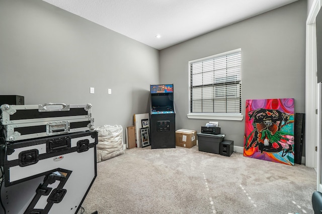 playroom with carpet flooring