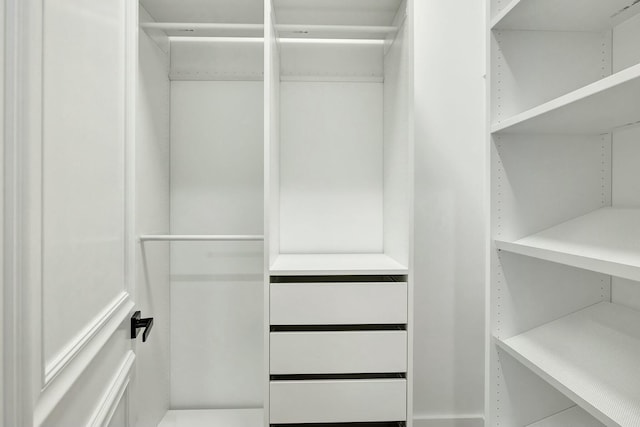 view of walk in closet