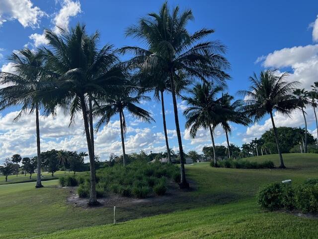 view of community with a lawn