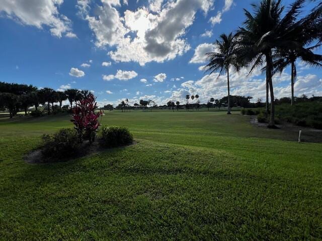 view of community featuring a yard