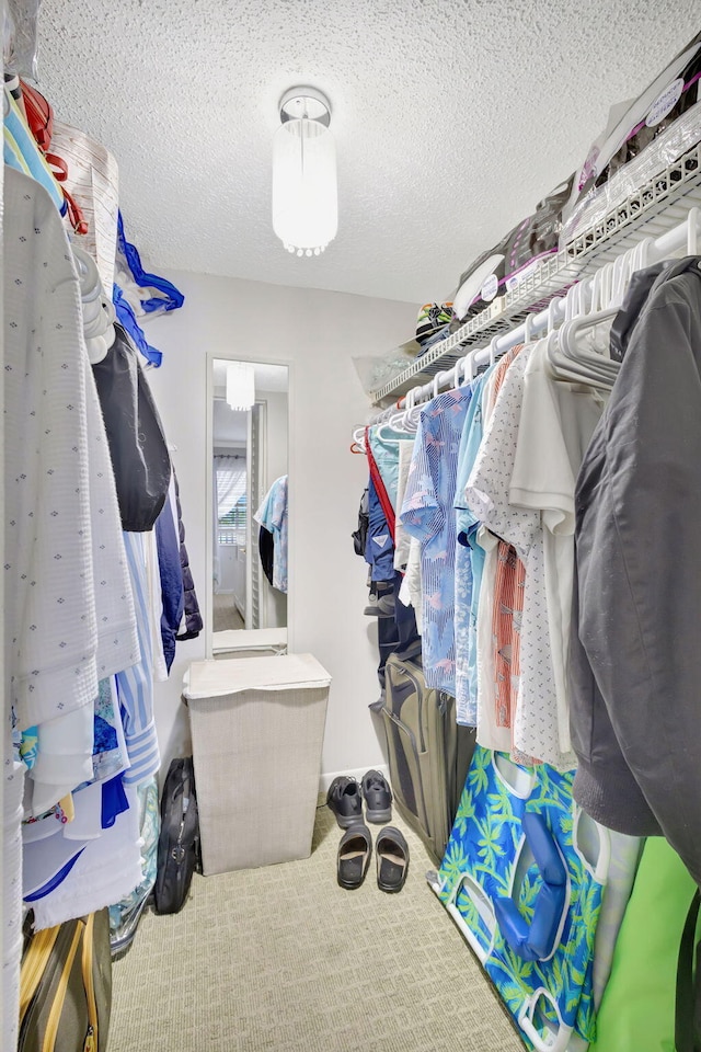 154 Lake Meryl Dr Unit 255, West Palm Beach, FL 33411 - spacious closet with carpet flooring