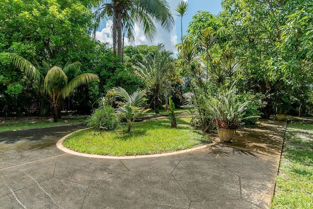 view of home's community featuring a yard