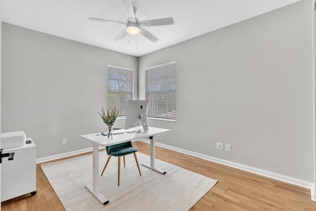 office featuring light wood-style floors, ceiling fan, baseboards, and a textured ceiling