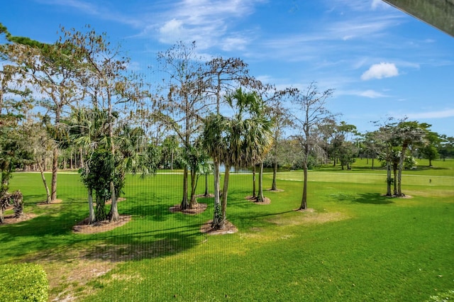 view of home's community with a yard