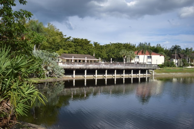 dock area with a water view