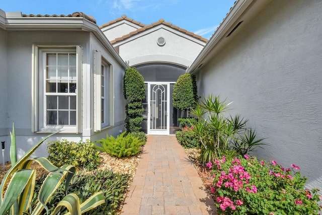 entrance to property featuring stucco siding